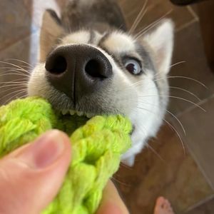 Meet your Posher, Isaac